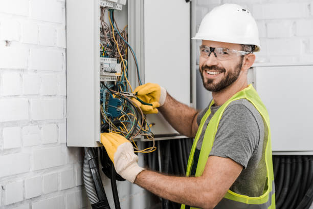 Best Electric Panel Repair  in Minneota, MN
