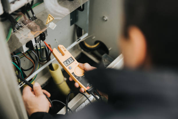 Best Local Electrician Companies  in Minneota, MN