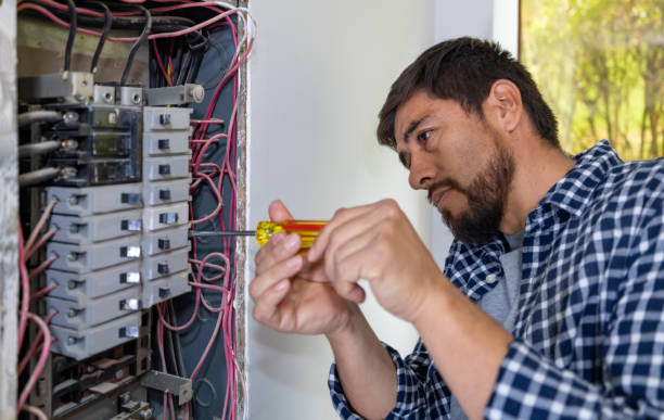 Best Electrical Repair Services  in Minneota, MN